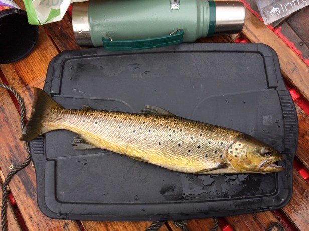 egWreudwR5ibKjXVz674iA_thumb_9b3