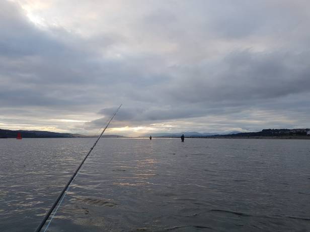 39050566_10157906157404657_3626821391497560064_o