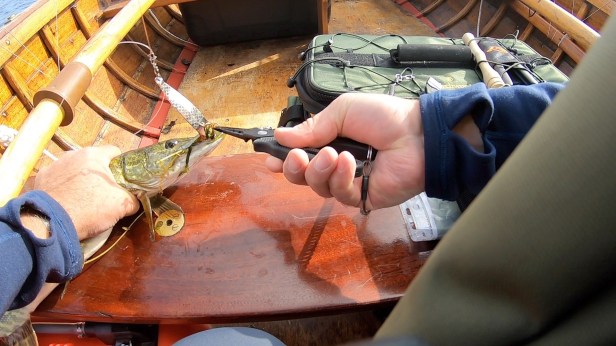 Loch Lomond Wed 290818b