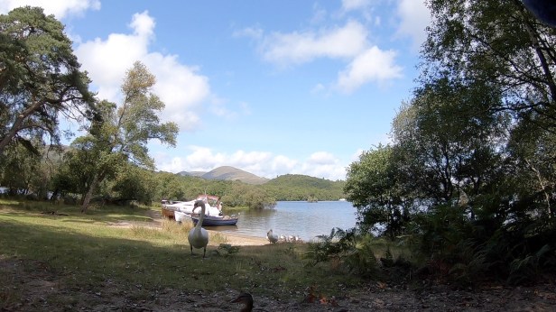 Loch Lomond Wed 290818f