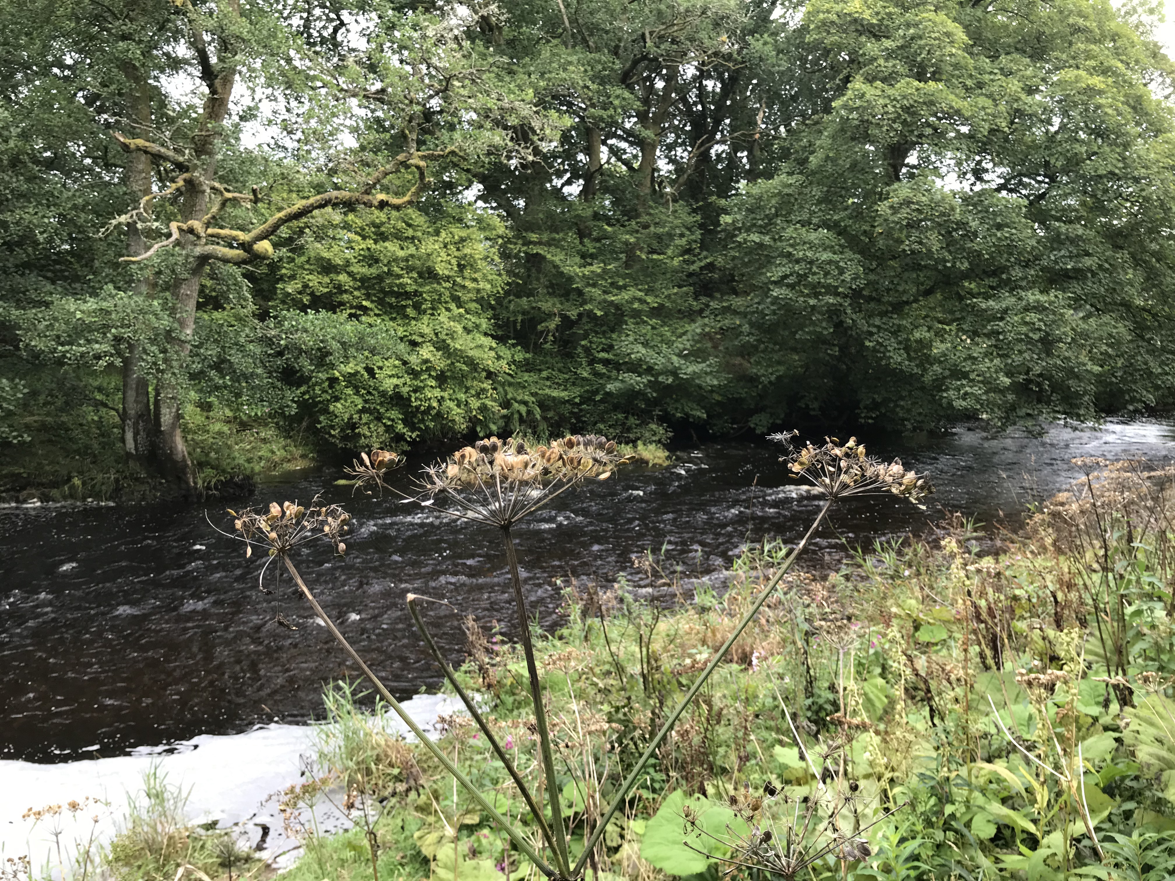 Uz5qwtwPSTWpMnGP7kwmeA