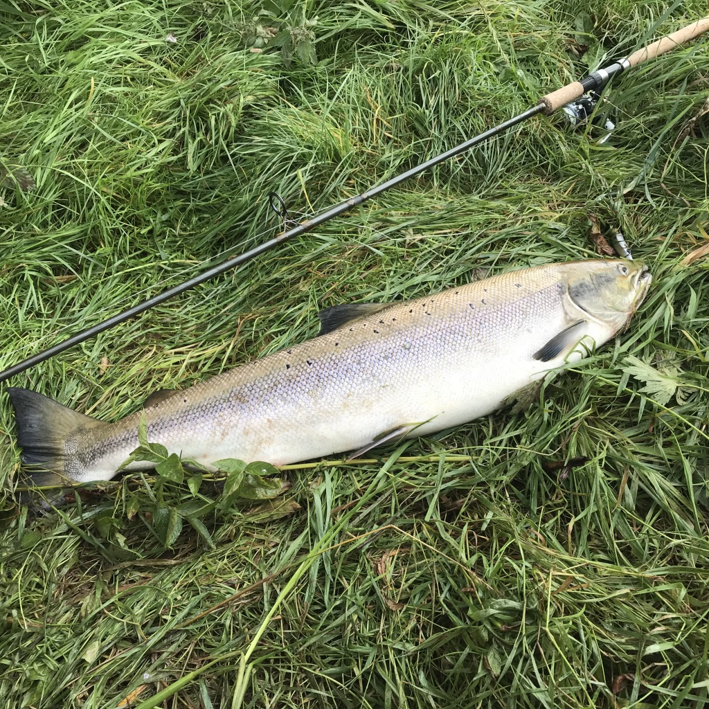 UNADJUSTEDNONRAW_thumb_1162